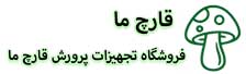 قارچ ما